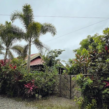 The Jungle Hut Bed & Breakfast Baler Exterior photo