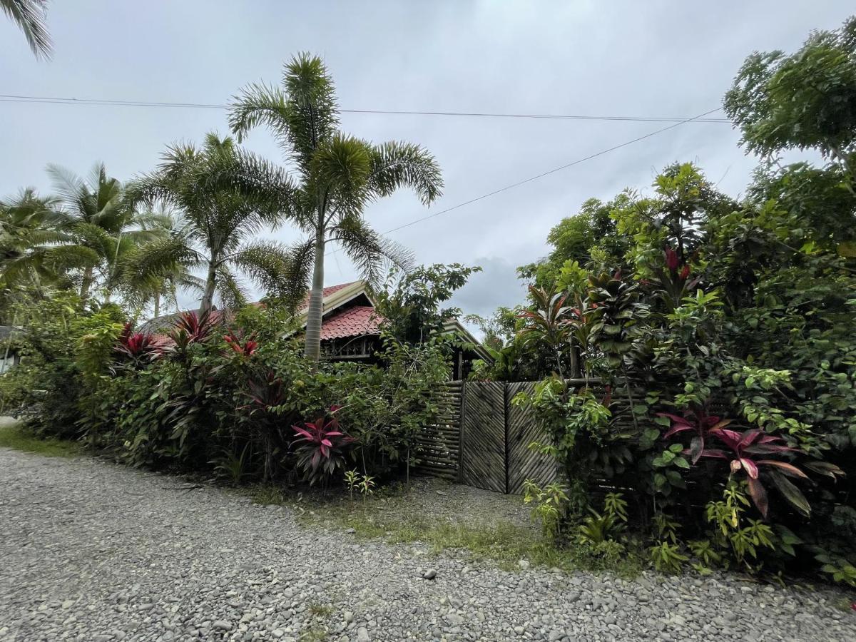 The Jungle Hut Bed & Breakfast Baler Exterior photo