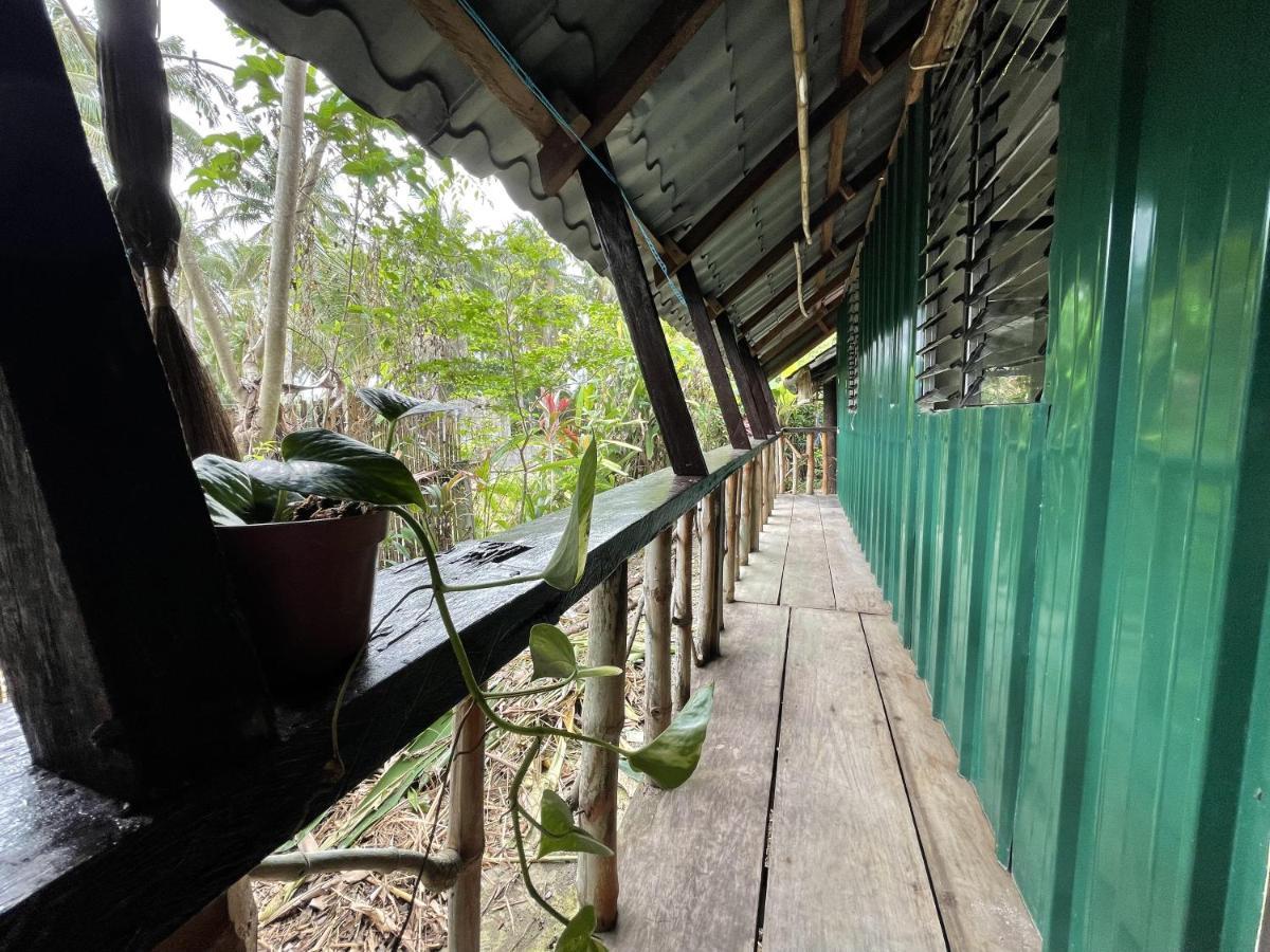 The Jungle Hut Bed & Breakfast Baler Exterior photo